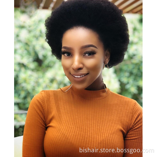Wholesale Remy Short Afro Kinky Curly Wave Brazilian Human Hair Wigs Black Brown Color Wig For Black Women With Bang/Fringe Wigs